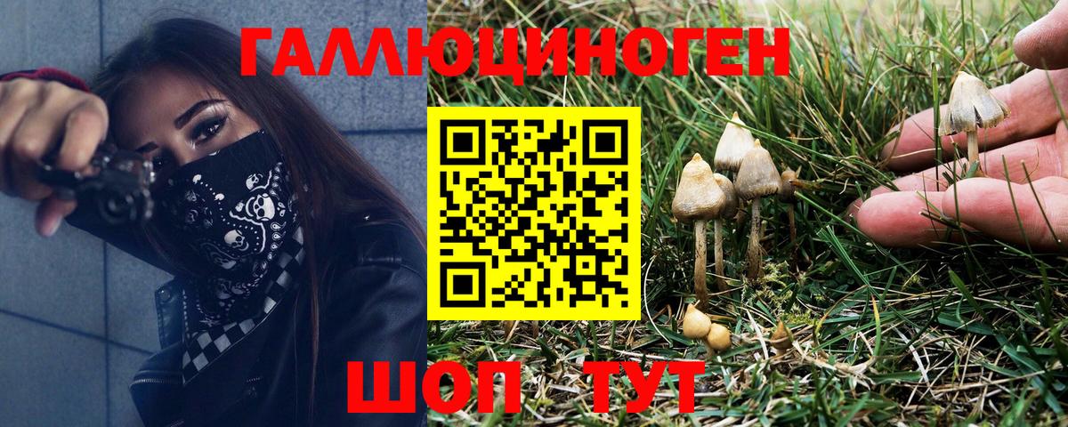 Псилоцибиновые грибы Psilocybine cubensis  Вход с VPN  Ханты-Мансийск 